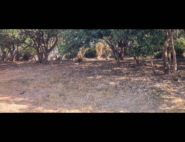 LAND FOR SALE IN GROOT BRAKRIVIER CENTRAL